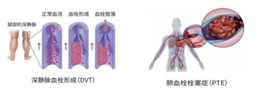 1724120021882466.png image.png